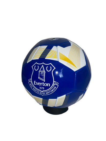 EFC OFFICIAL FOOTBALL-SIZE 5